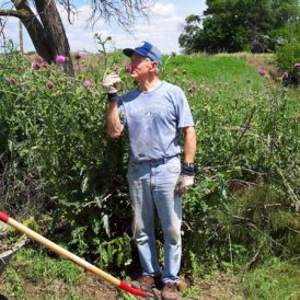 The Weed Commissioner Image